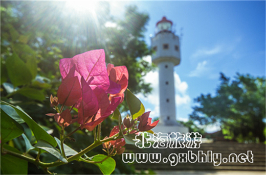 �{�~ɽ���@ ����������