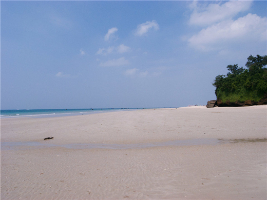 ɳ�����������ξW(w��ng)