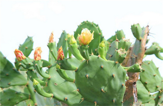 ���ލu �������ξW(w��ng)