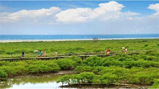 �𺣞��t��(sh��)�� �V���������ξW(w��ng)