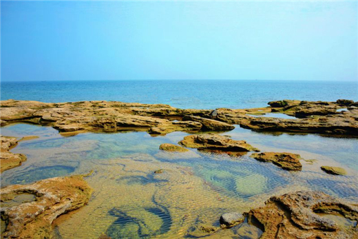 ��ʞ� �V���������ξW(w��ng)