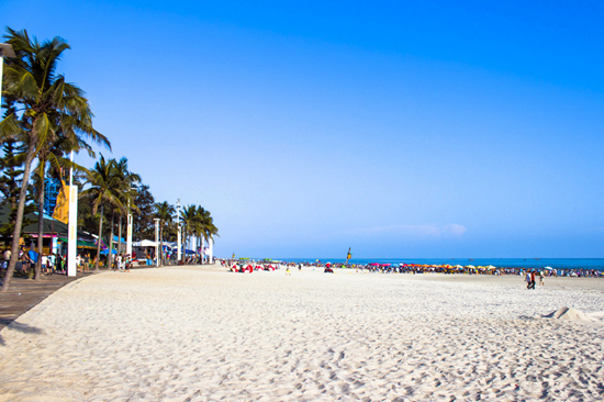 �y�� �V������������