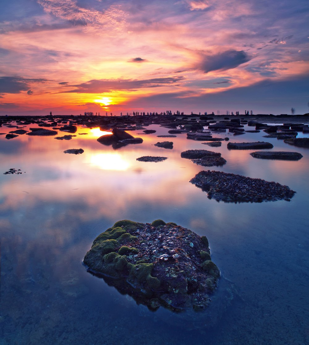 �V���������ξW(w��ng) �V������������