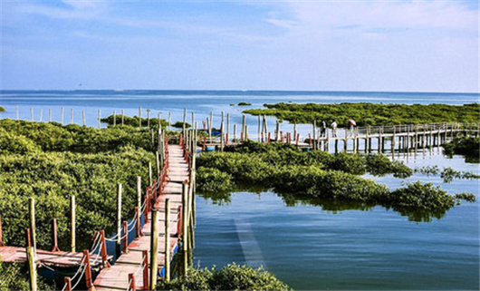 �V������������