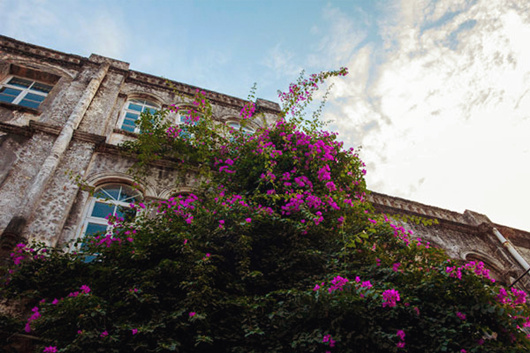 �V������������