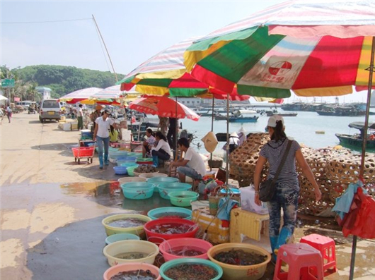 �V������������ ���r