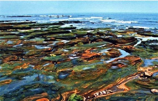 �V������������ ��ʞ�