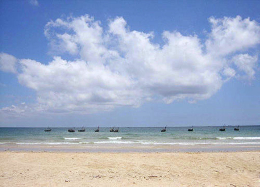 �V���������ξW(w��ng) �y��