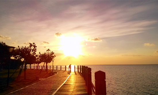 �V������������ ���������B(y��ng)��