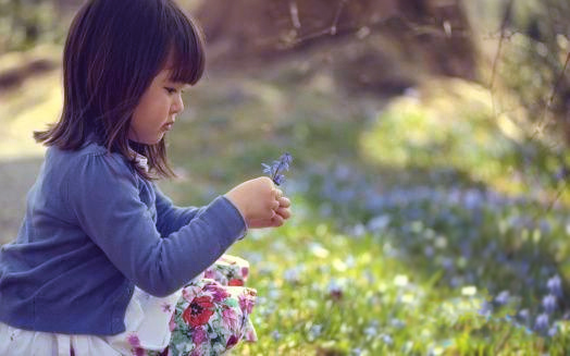 �V������������ ���������B(y��ng)��