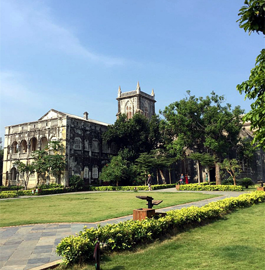 �V������������ ���ލu����