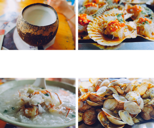 �V������������ �������ι���