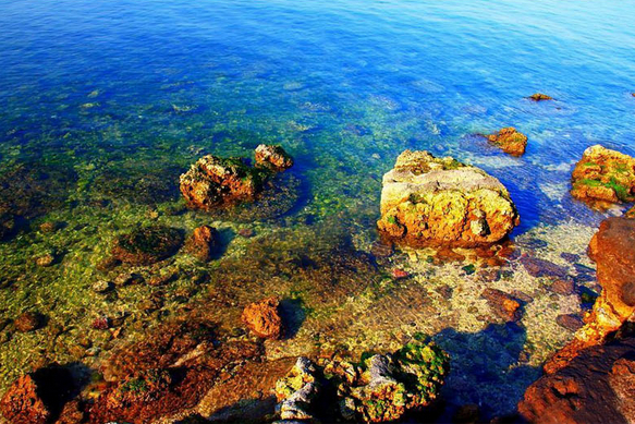 �V������������ ���ލu����