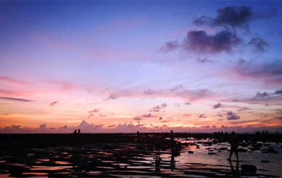 �V������������ ���ލu���ι���