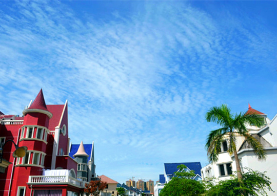 �����������V���������ξW(w��ng)