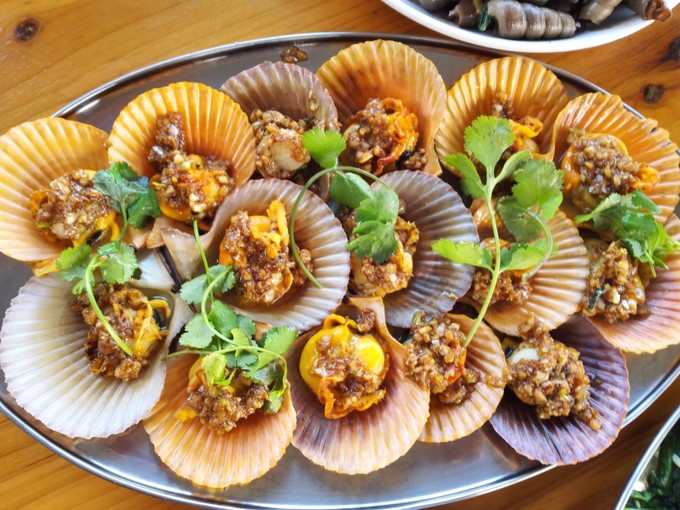 �����������V���������ξW(w��ng)