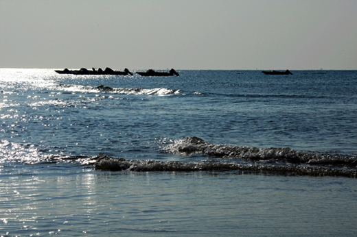 �����������V���������ξW(w��ng)