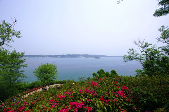 �����������V���������ξW(w��ng)