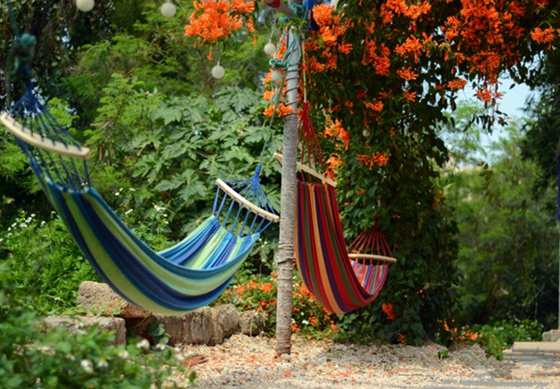 �������ލu�������V������������