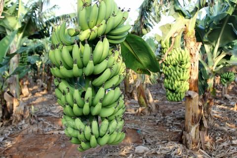 ���ލu���V���������ξW(w��ng)