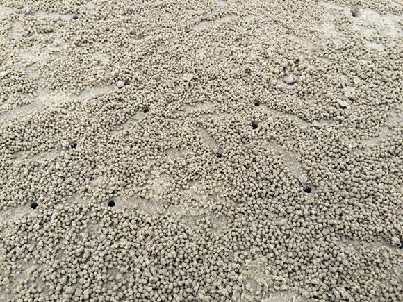 �����������V������������