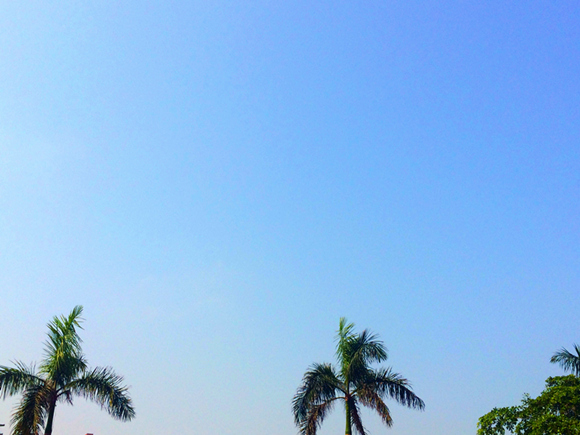 �����������V������������