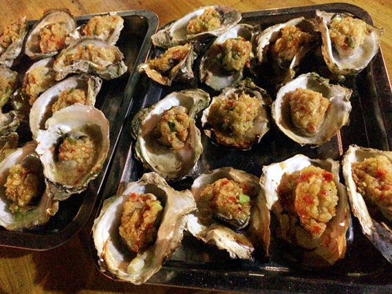 �����������V������������