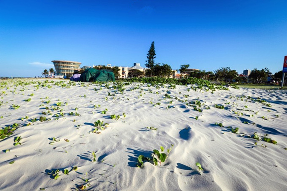 �����������V������������