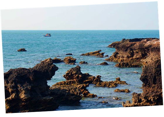 �����������V������������