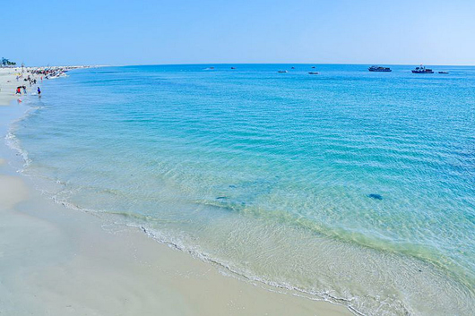 �������ލu���V������������