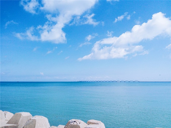 �������ލu���V������������