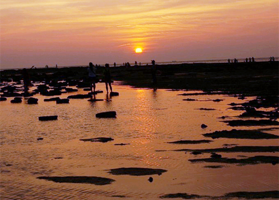 �������ލu���V������������