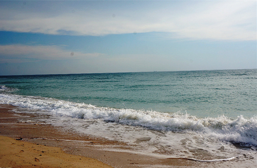 �������ލu���V������������