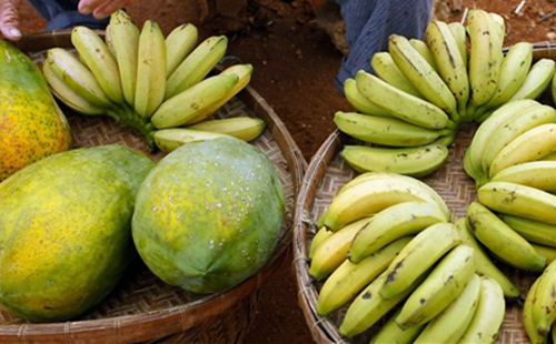 �������ލu���V������������