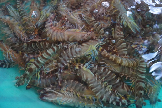 �������ލu���V������������