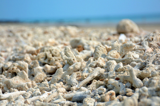 ���������ލu���V������������