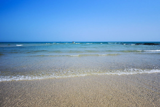 ���������ލu���V������������