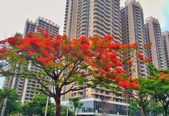 �������Σ��V������������