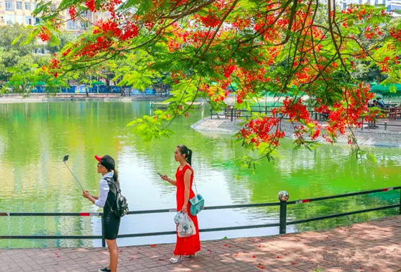 �����������V������������