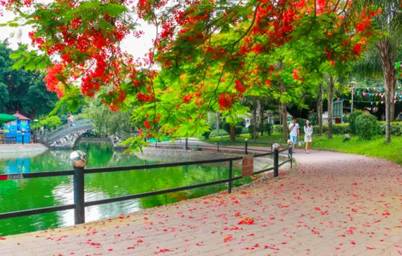 �����������V������������