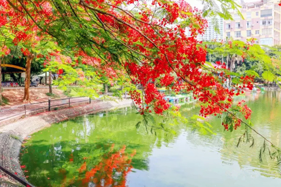 �����������V������������