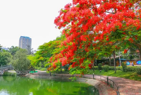 �����������V������������