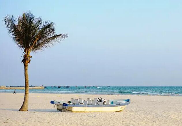 ���ލu�������V������������