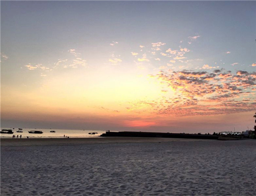 ���ލu�������V������������