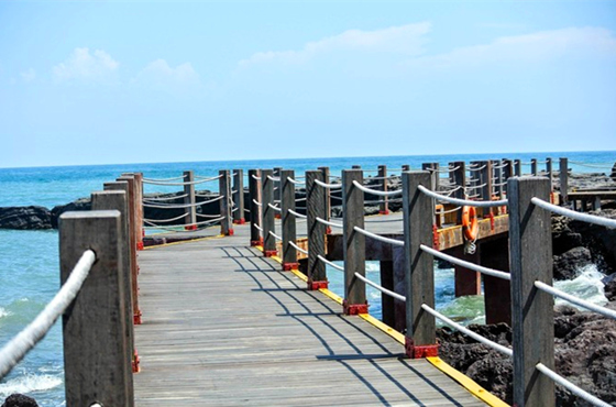 ���ލu�������V������������