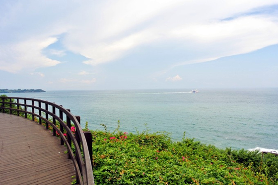 �������������ލu���V������������