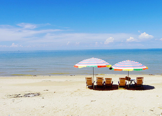 �������Σ����ލu���V������������