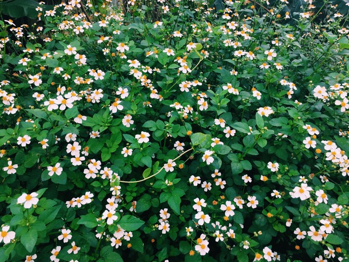 ���ލu�������������V������������