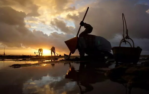 �����������V������������