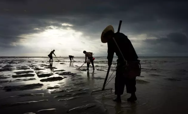 �����������V������������